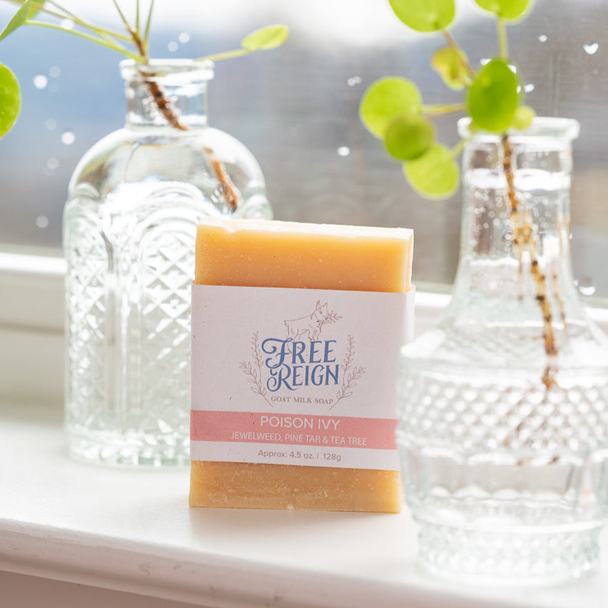 Poison Ivy - Jewelweed, Pine Tar & Tea Tree | Bar Soap