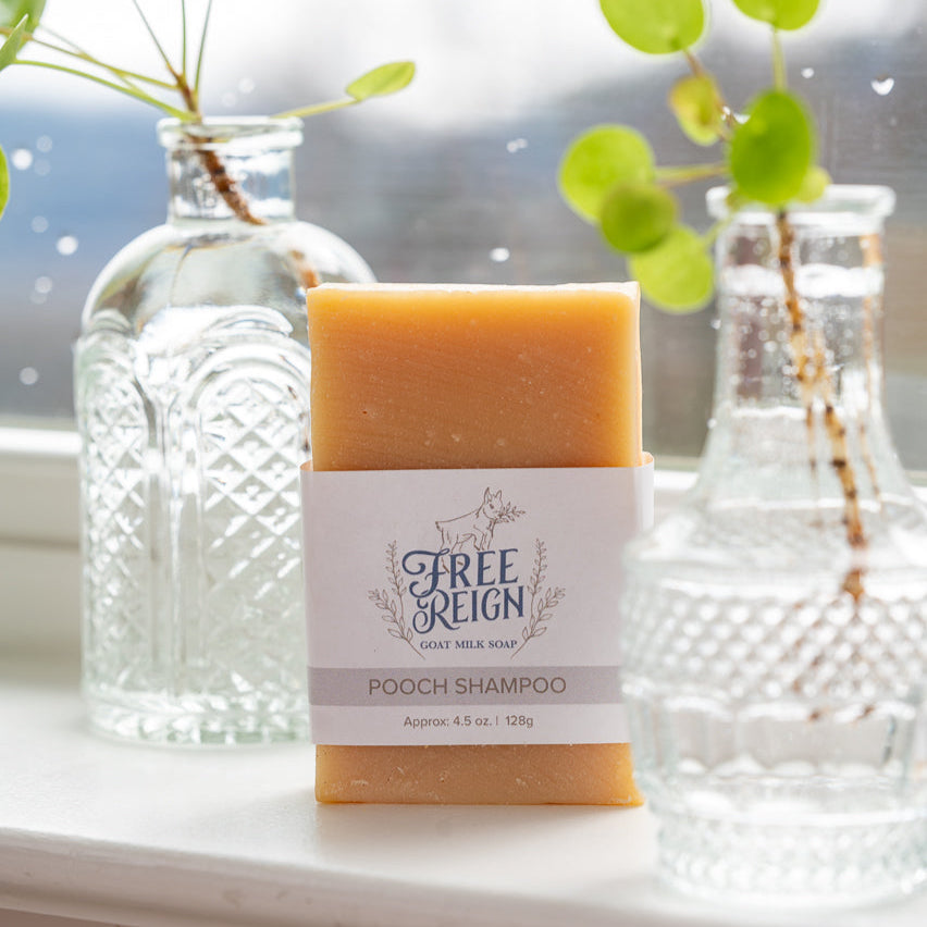 Pooch Shampoo - Unscented Shampoo for Dogs | Bar Soap