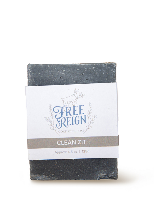 Tea Tree & Charcoal for Oily Skin - Clean Zit  | Bar Soap